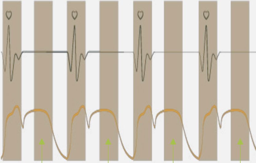 Pulsazioni con Stendo